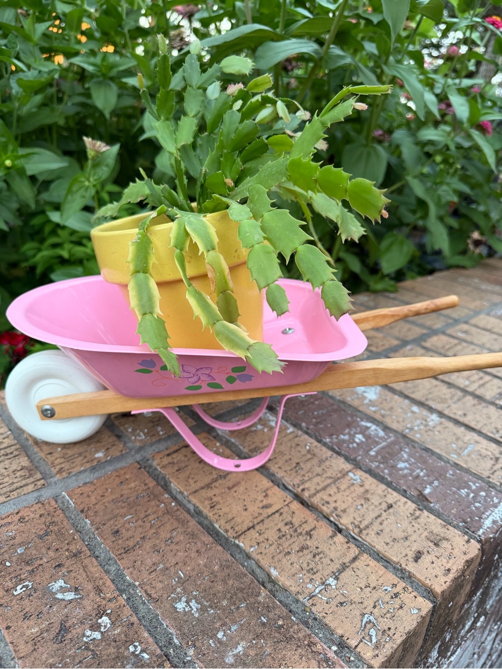 Pink Metal Wheelbarrow Plant Holder Floral Design Wooden Handles (not a toy)